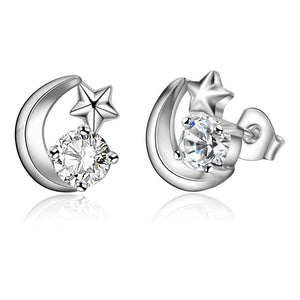 Silver Earrings LSE693
