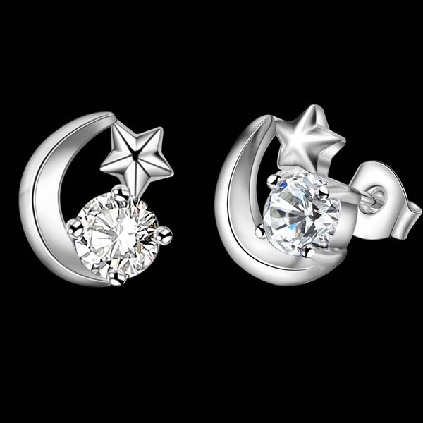 Silver Earrings LSE693