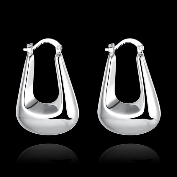 Silver Earrings LSE703