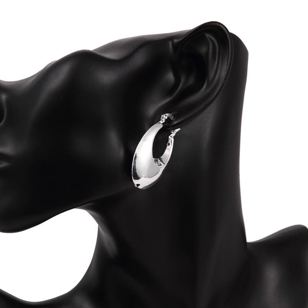 Silver Earrings LSE710