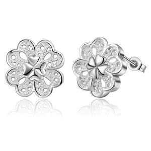 Silver Earrings LSE719