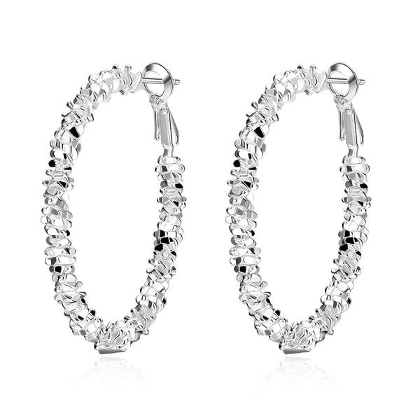 Silver Earrings LSE719