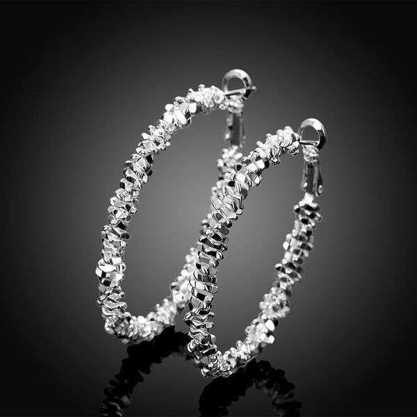 Silver Earrings LSE719