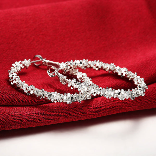 Silver Earrings LSE719