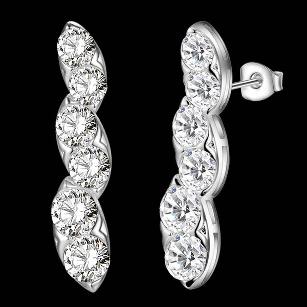 Silver Earrings LSE727