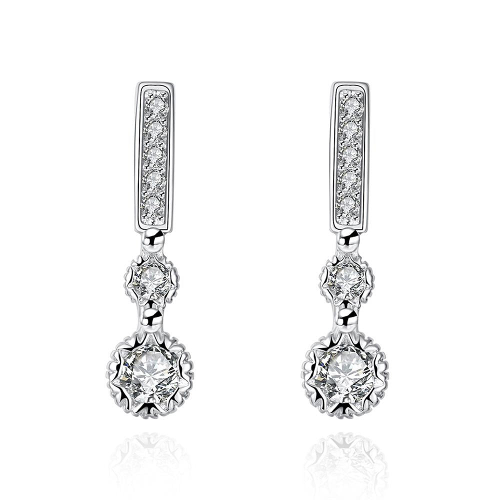Silver Earrings LSE756