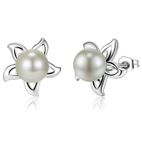 Silver Earrings LSE804