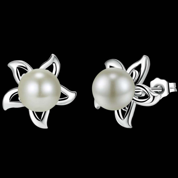 Silver Earrings LSE804