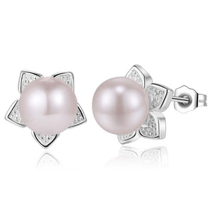 Silver Earrings LSE813
