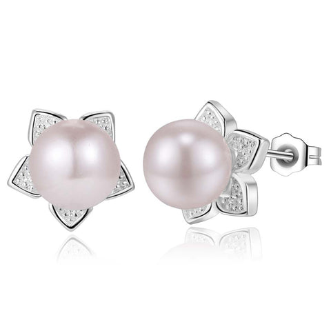 Silver Earrings LSE813