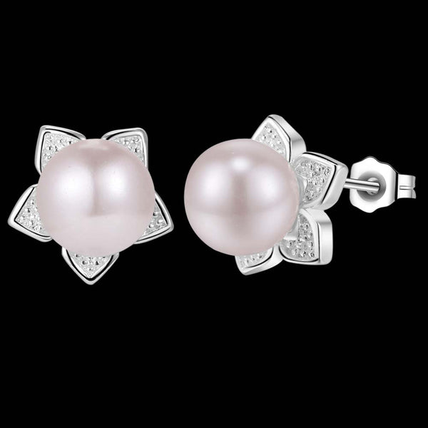 Silver Earrings LSE813
