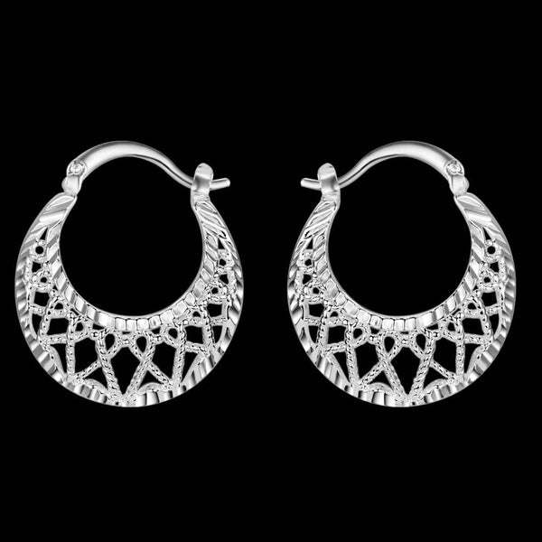 Silver Earrings LSE853