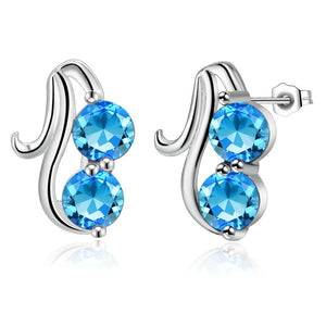 Silver Earrings LSE855
