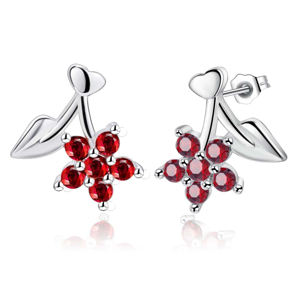 Silver Earrings LSE872