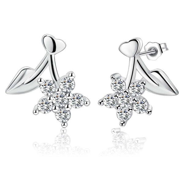 Silver Earrings LSE873