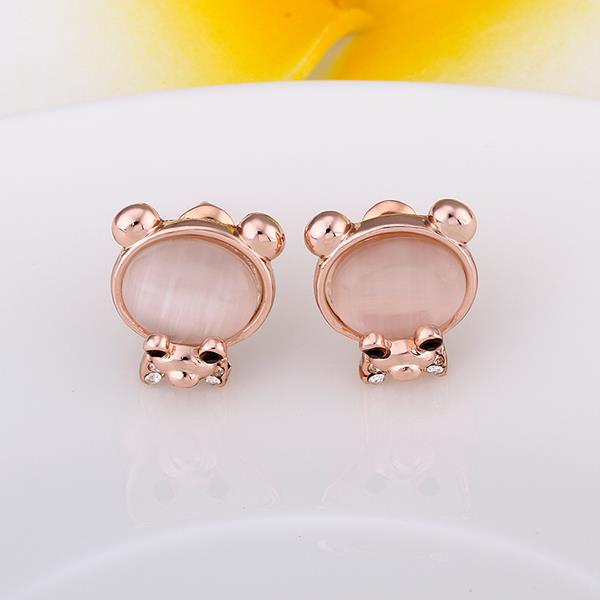 Rose Gold Earrings LSE888