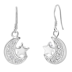 Silver Earrings LSE907