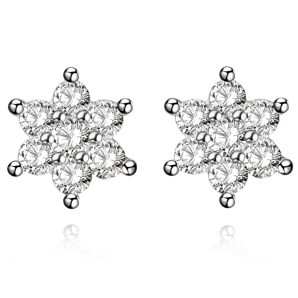Silver Earrings LSE955