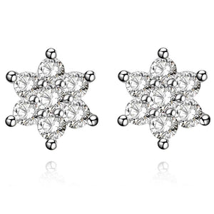 Silver Earrings LSE955