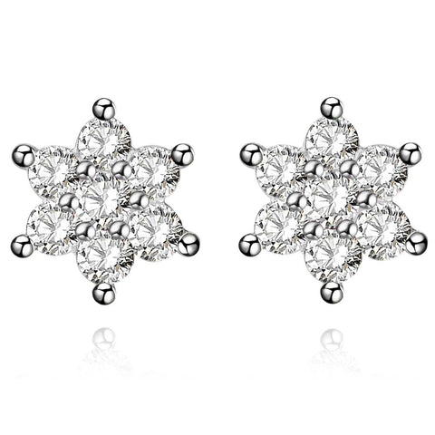 Silver Earrings LSE955