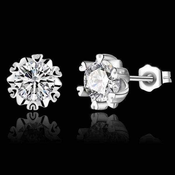 Silver Earrings LSE996