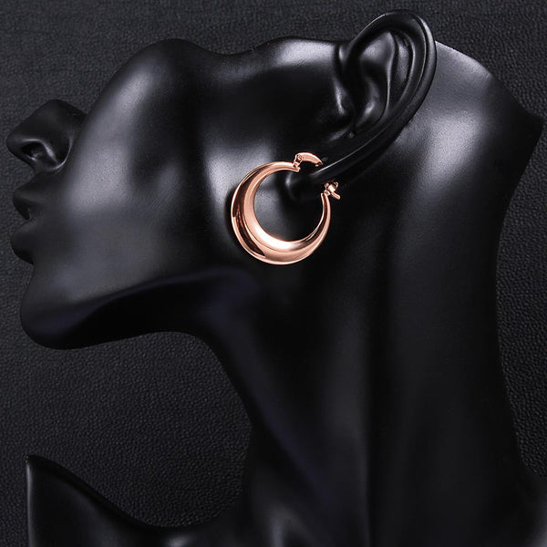 Rose Gold Earrings LSE030