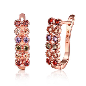 Rose Gold Earrings LSE120