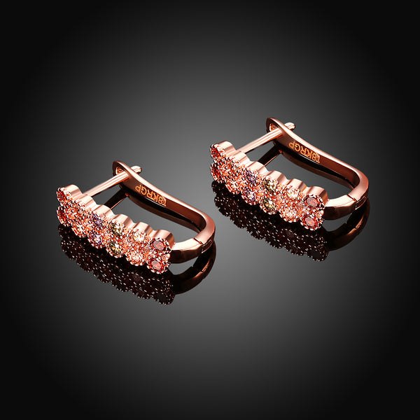 Rose Gold Earrings LSE120