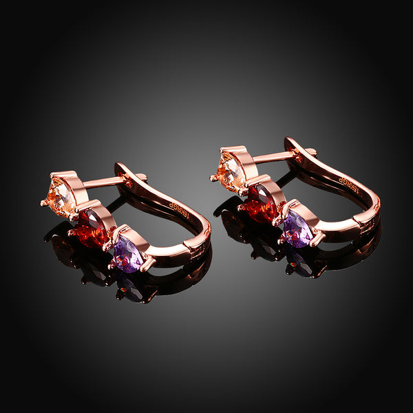 Rose Gold Earrings LSE125