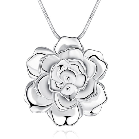 Silver Necklace LSN773