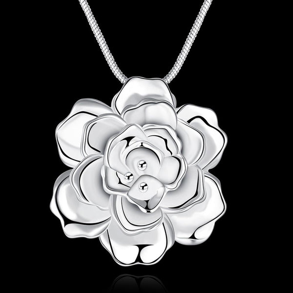 Silver Necklace LSN773