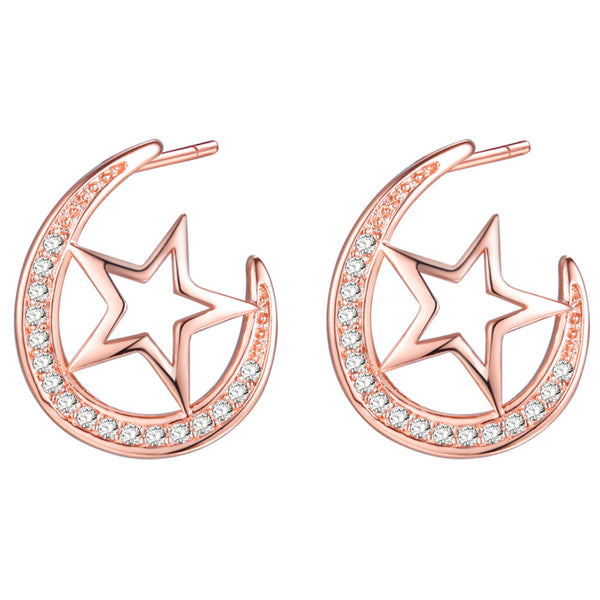 Rose Gold Earrings LSR1000