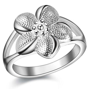 Silver Ring LSR1013