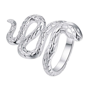 Silver Ring LSR273