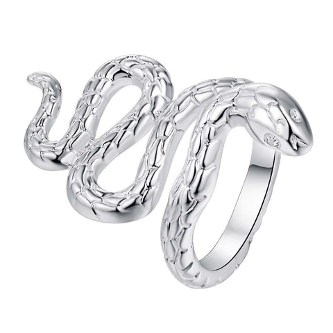 Silver Ring LSR273