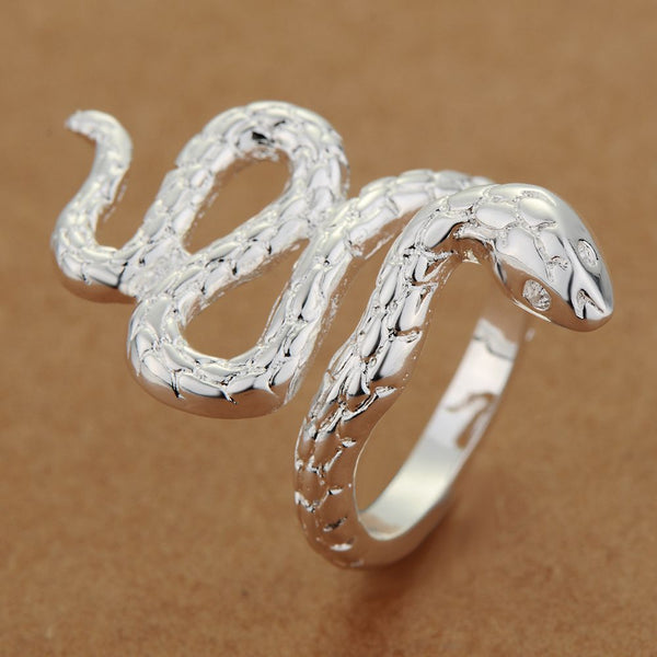 Silver Ring LSR273