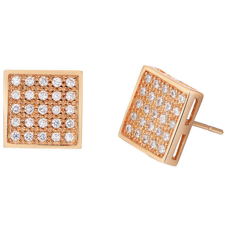 Rose Gold Earrings LSR404