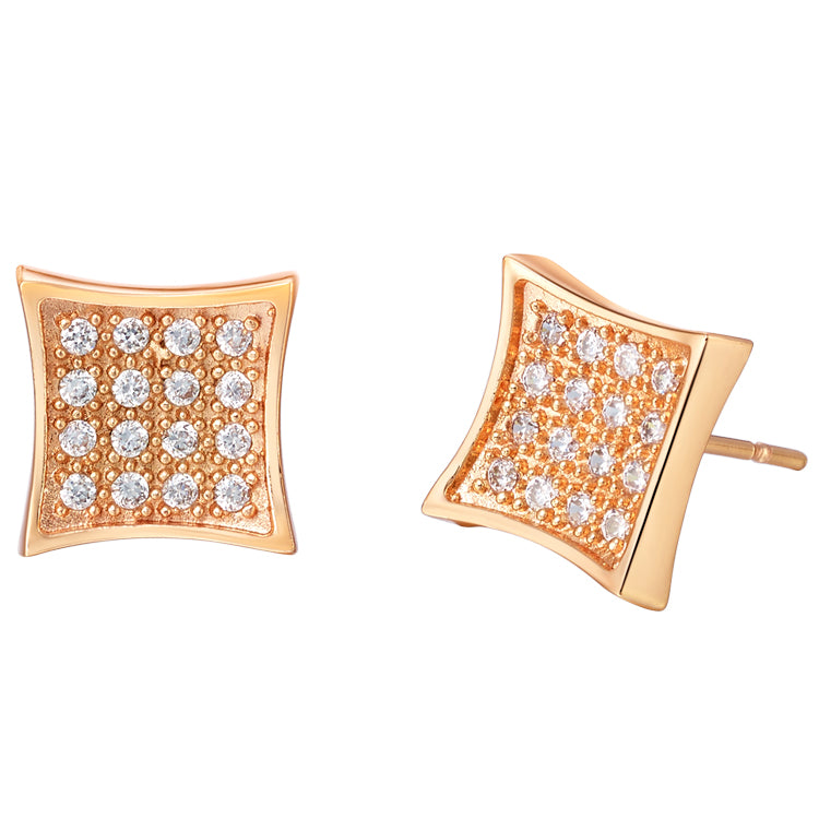 Rose Gold Earrings LSR406