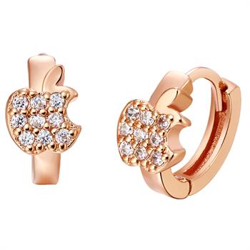 Rose Gold Earrings LSR523