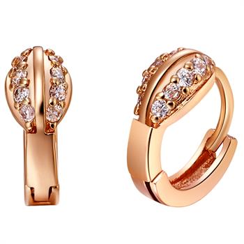 Rose Gold Earrings LSR567