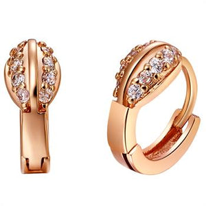 Rose Gold Earrings LSR567