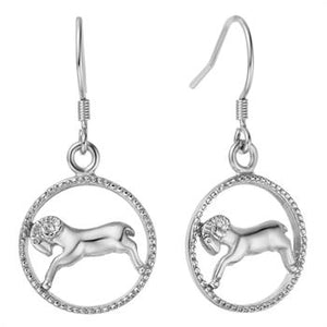 White Gold Plated Earrings LSR671