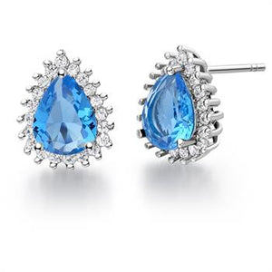 White Gold Plated Earrings LSR820