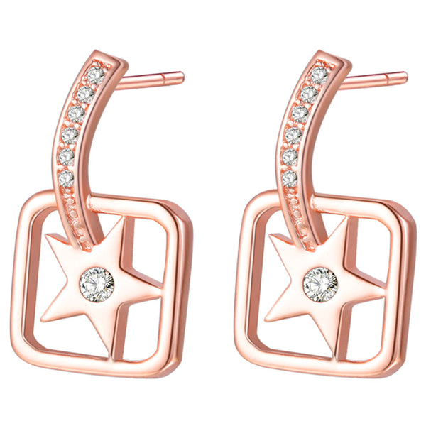 Rose Gold Earrings LSR999