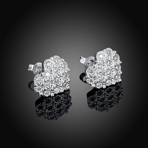 Silver Earrings LSE763