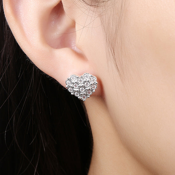 Silver Earrings LSE763