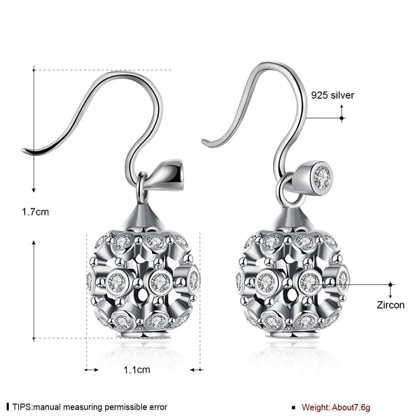 925 Sterling Silver Earrings LSSSVE017