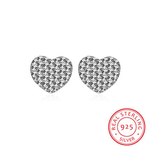 925 Sterling Silver Earrings LSSSVE057