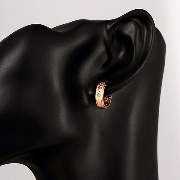 Rose Gold Earrings LSE008